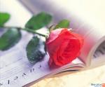 Избранные сборники стихов Поэзия